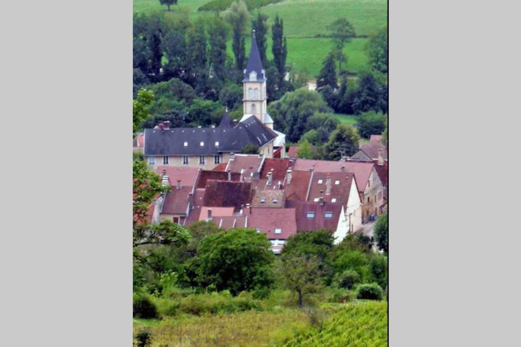 Maison Au Coeur Du Vignoble Jurassien 90 M2Lavigny エクステリア 写真