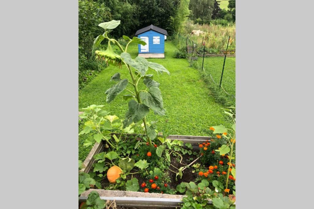 Maison Au Coeur Du Vignoble Jurassien 90 M2Lavigny エクステリア 写真
