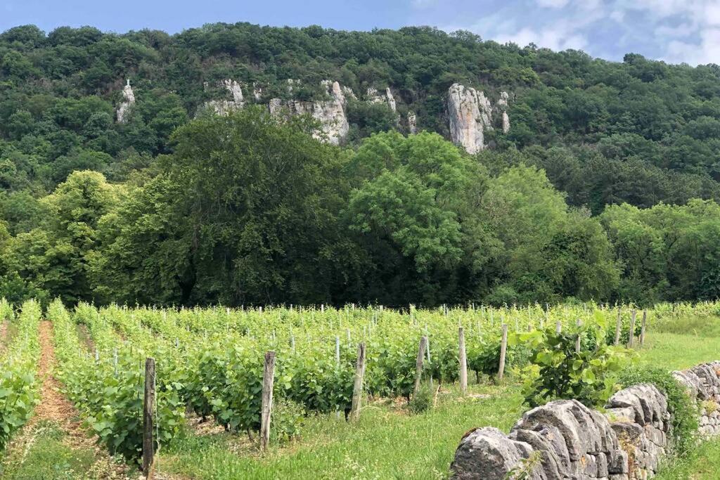 Maison Au Coeur Du Vignoble Jurassien 90 M2Lavigny エクステリア 写真